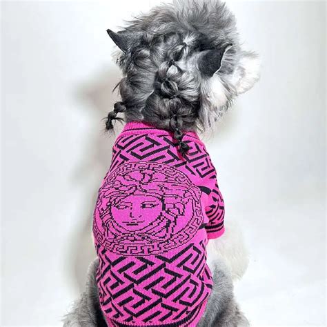 fake versace dog collar|versace dog robe.